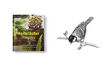 Meine Heilkräuter-Mandalas Heilkräuter-Mandalas