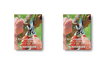 Obstbaumschnitt Obstbaumschnitt