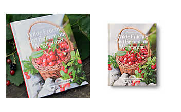 Wilde Früchte und Beeren am Wegesrand Wilde Früchte am Wegesrand