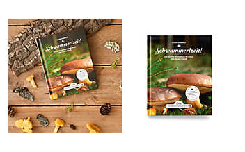 Schwammerlzeit Schwammerlzeit