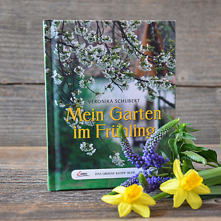 Mein Garten im Frühling Mein Garten im Frühling